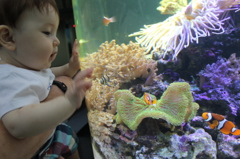 初めての水族館
