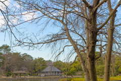 冬空の公園４