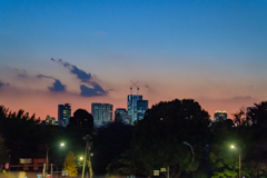 美術館からの夜景