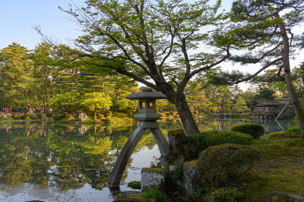 池に映る景色４