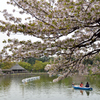 葉桜の季節４