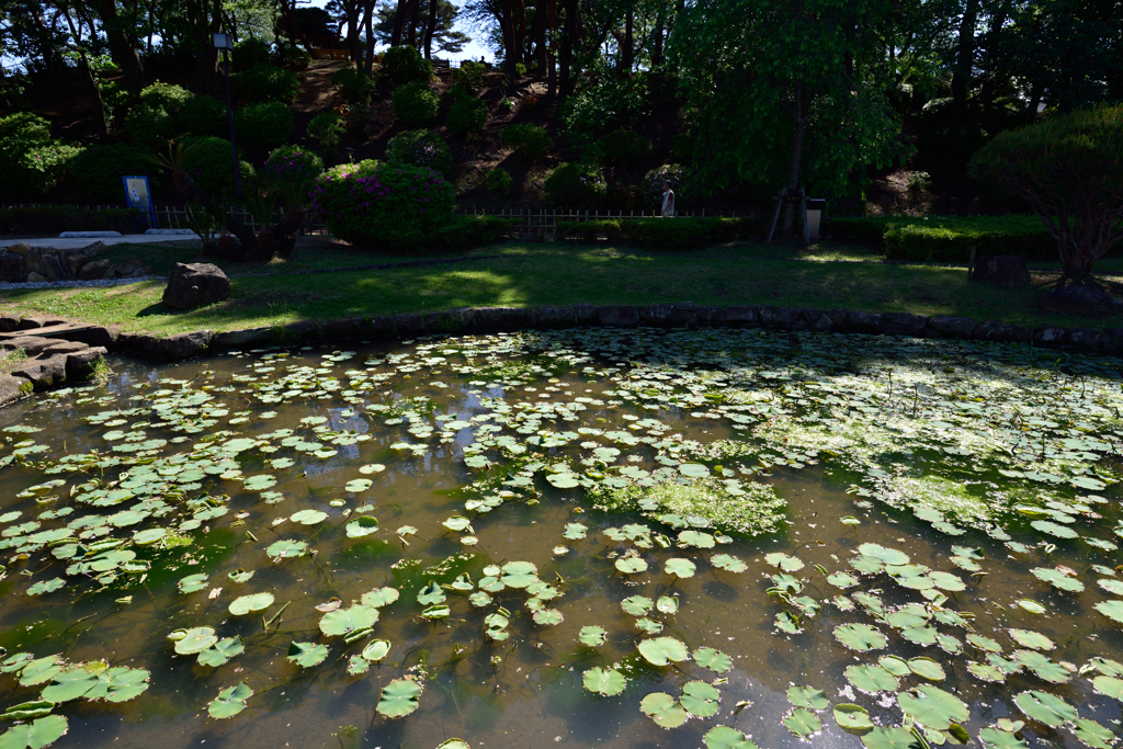 これから楽しみな公園で７