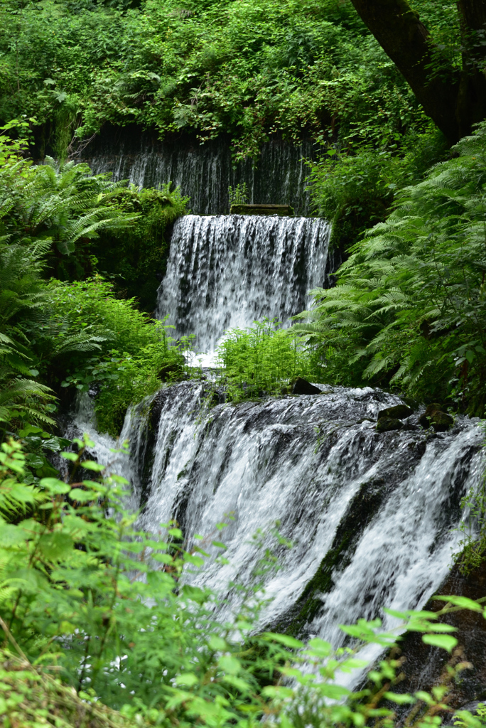 白糸の滝４