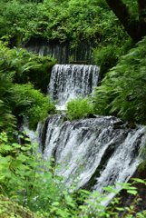 白糸の滝４