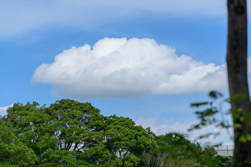 空見れば. . 秋３