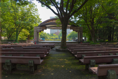 日陰恋しや日比谷公園３