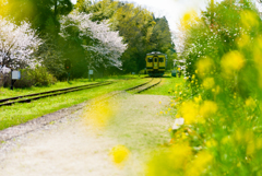 いすみ鉄道３