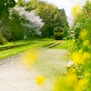 いすみ鉄道３