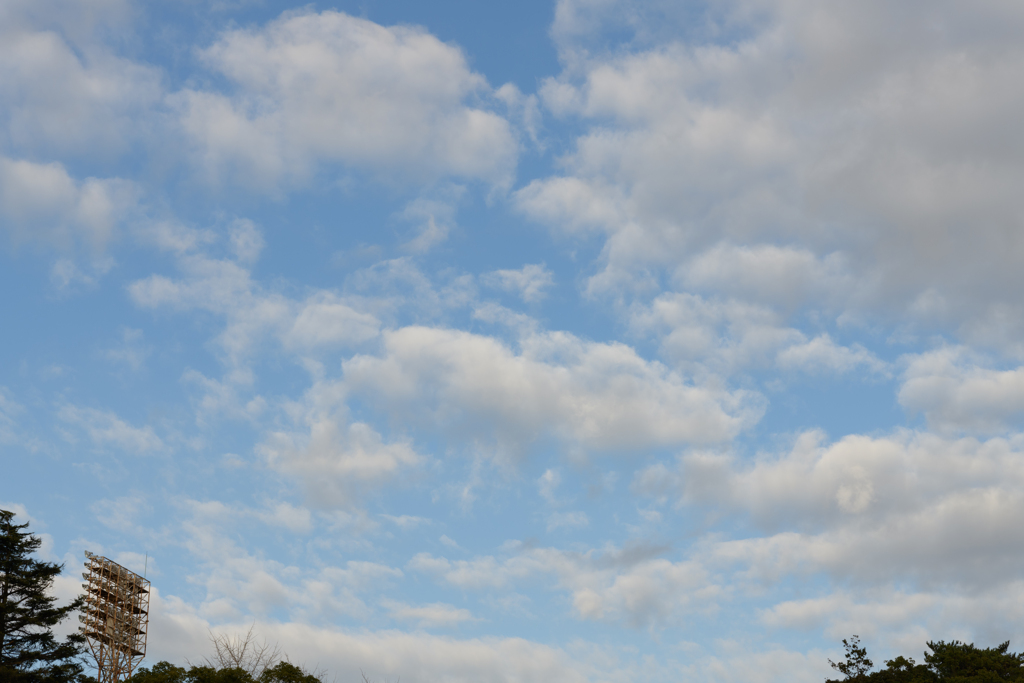 冬空の公園３