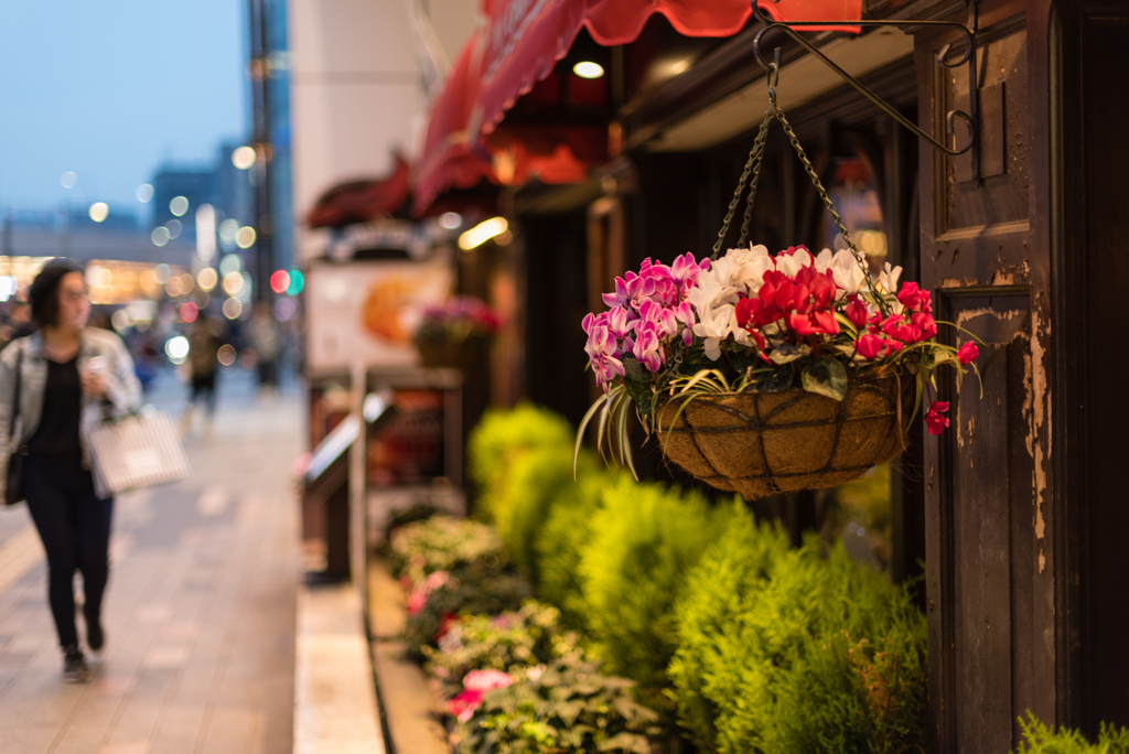 花いっぱいの店