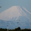 千葉みなと朝の富士３