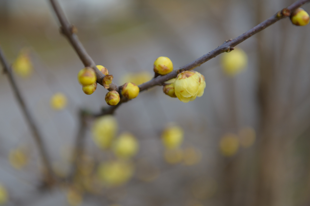 陽傾く公園で４