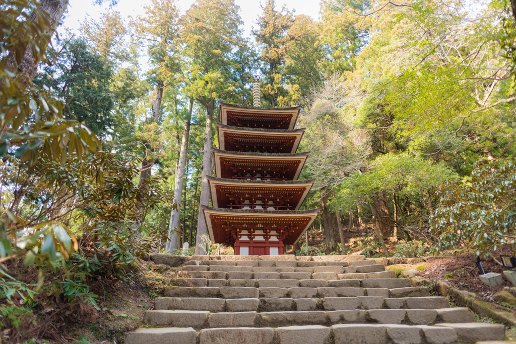 室生寺五重塔３