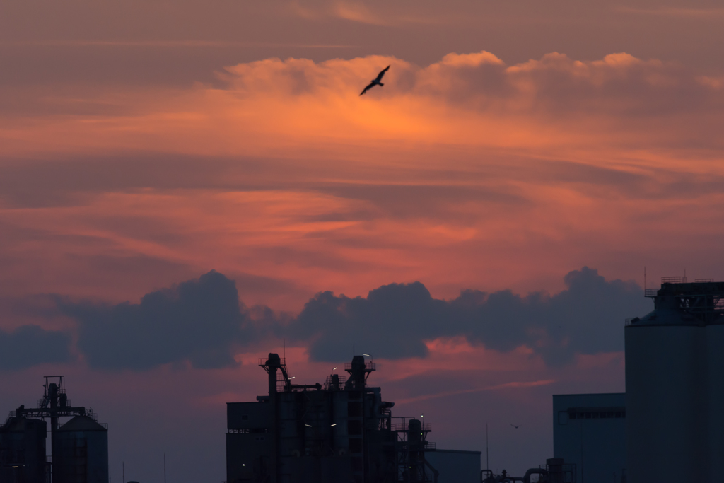 千葉みなと夕景４