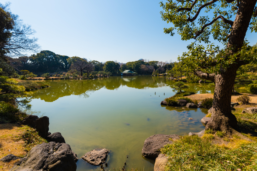 清澄庭園１