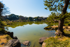清澄庭園１