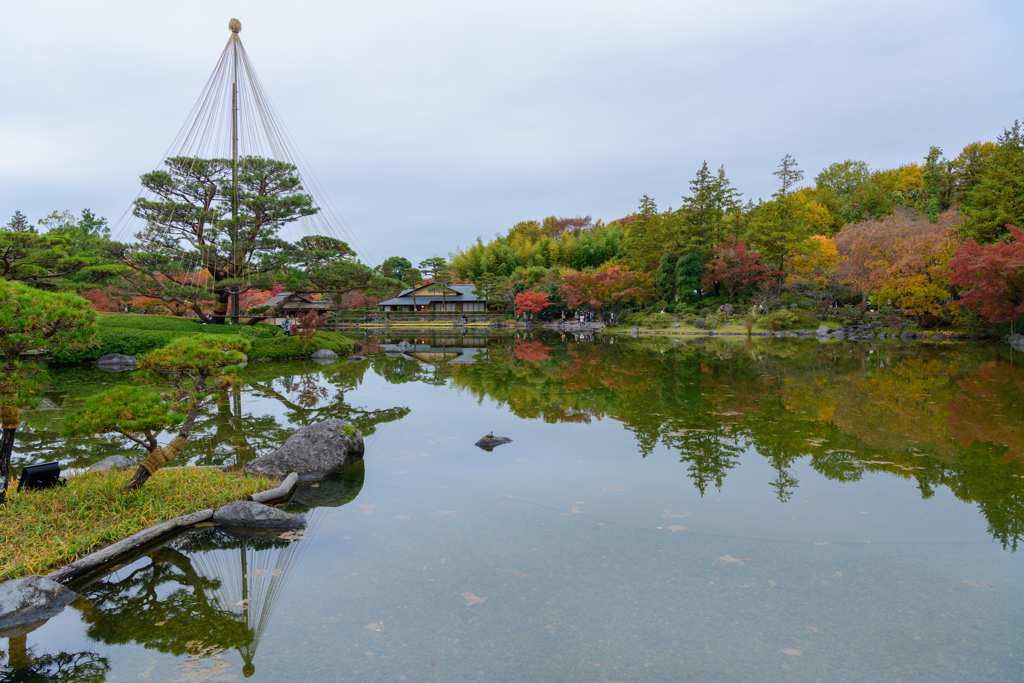 昭和記念公園の秋９