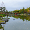 昭和記念公園の秋９