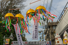 ボロ市探訪７