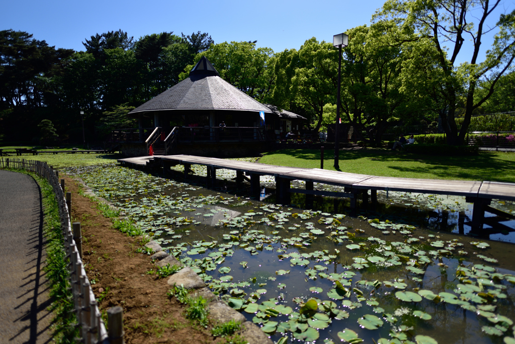 これから楽しみな公園で３