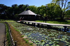 これから楽しみな公園で３