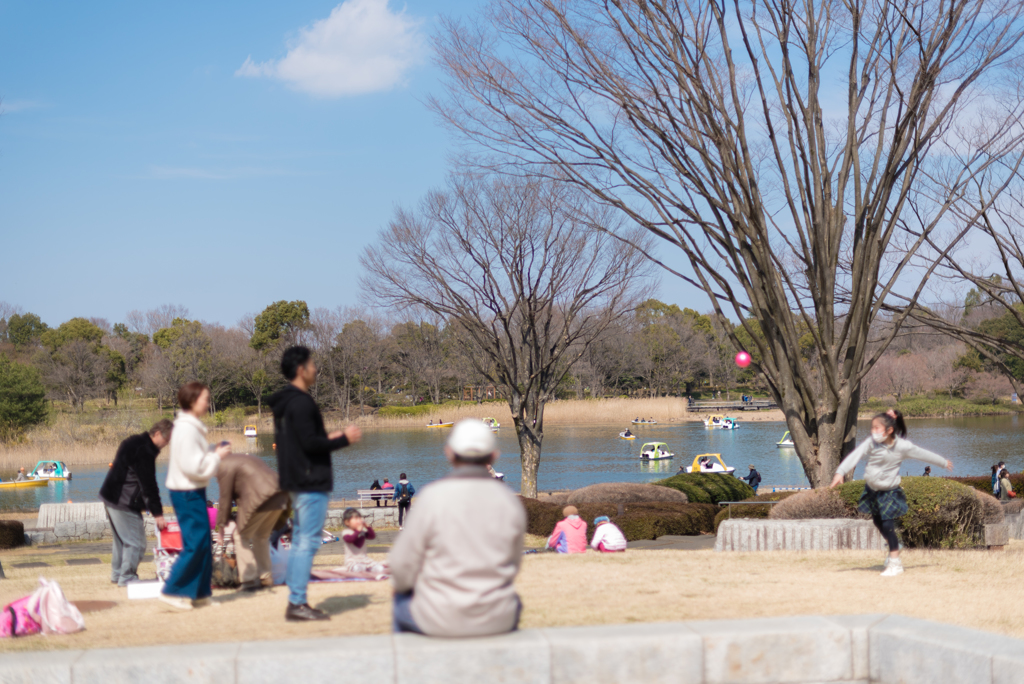 春の公園１