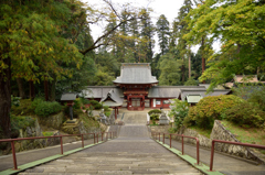 社殿見下ろす不思議