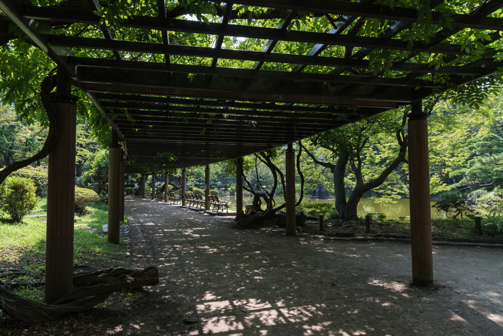 日陰恋しや日比谷公園５