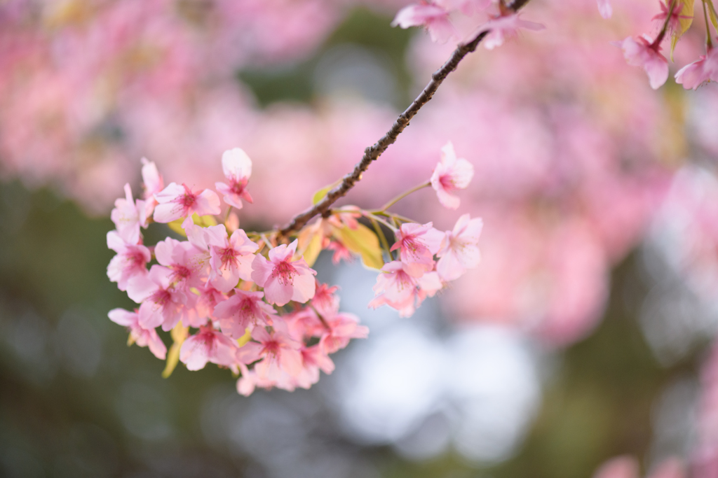 春寒の公園で９