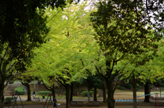 秋深く７