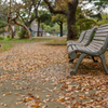晩秋の公園１