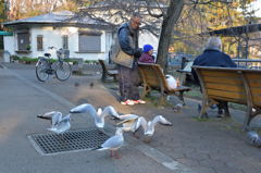 鳥たちが見ている！２