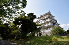 猪鼻城（いのはなじょう）（別名千葉城）の夏３