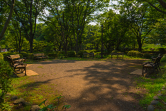 日陰恋しや日比谷公園４