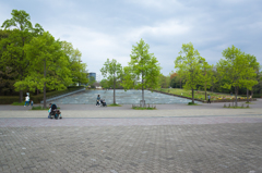 木場公園４