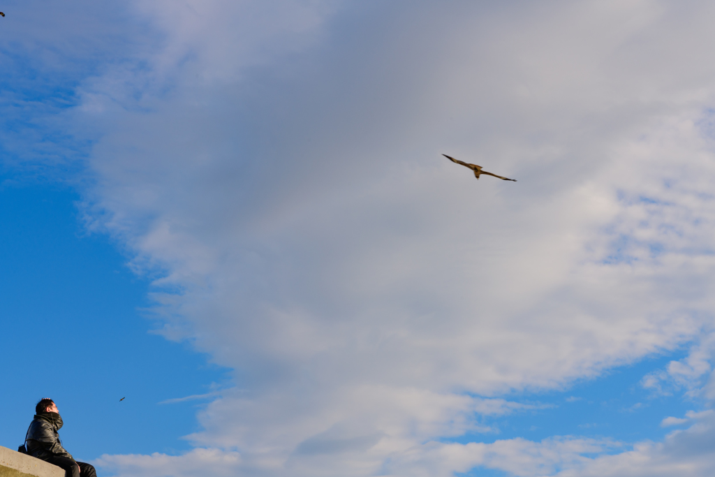 空に遊ぶ