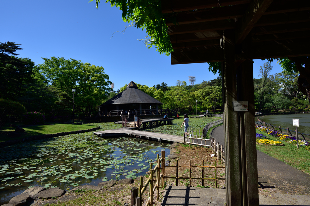 これから楽しみな公園で６