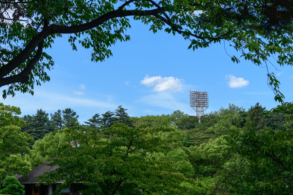 空見れば. . 秋２