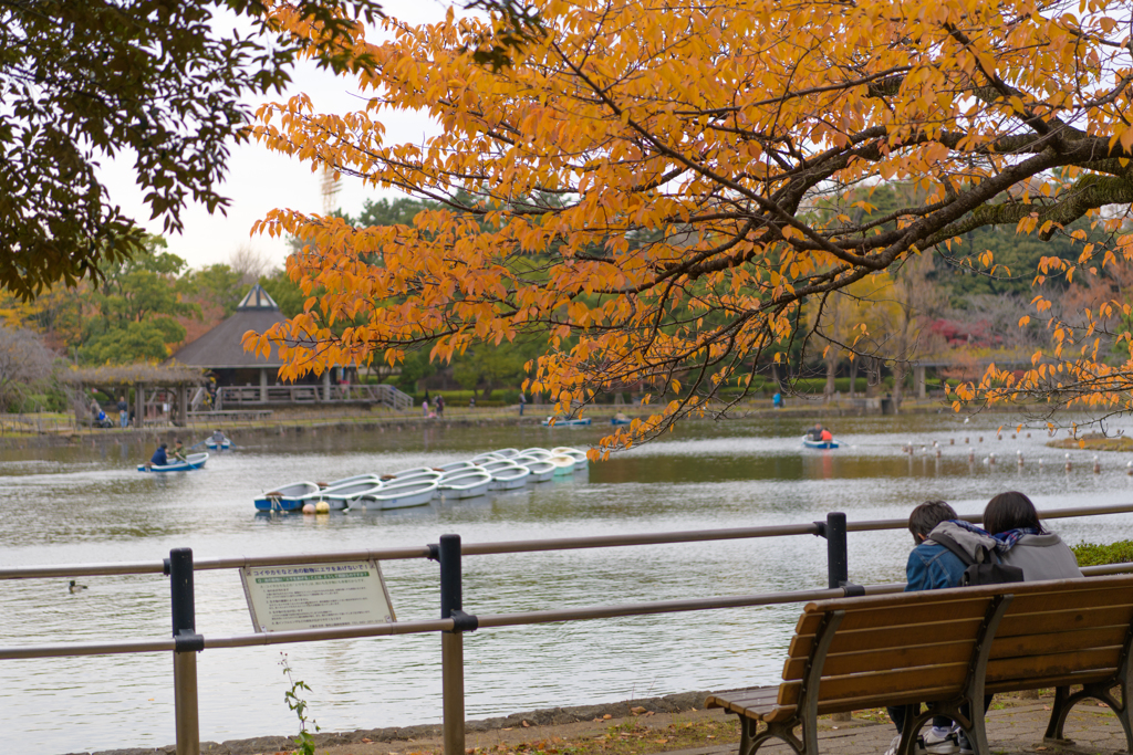 晩秋の公園３