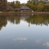 冬空の公園５