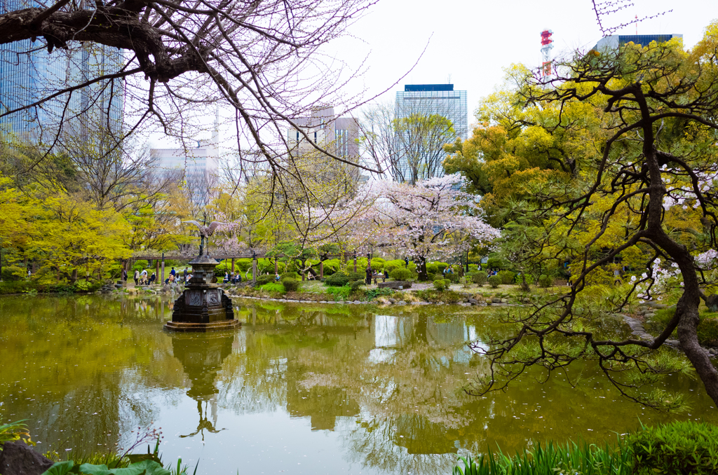 日比谷公園の春８