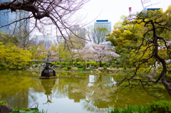 日比谷公園の春８