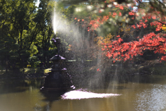 陽光の日比谷公園３