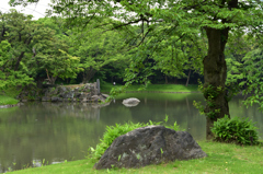 小石川後楽園で５