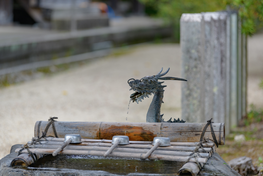 手水舎の龍