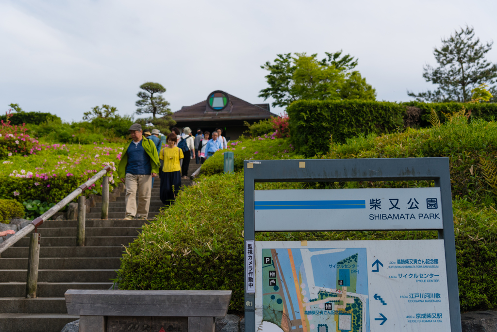 柴又公園で１