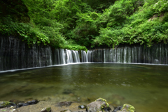 白糸の滝１