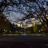 日比谷公園夕景６