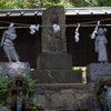 暑き日の深大寺５