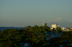 ポートパークで富士山発見！１